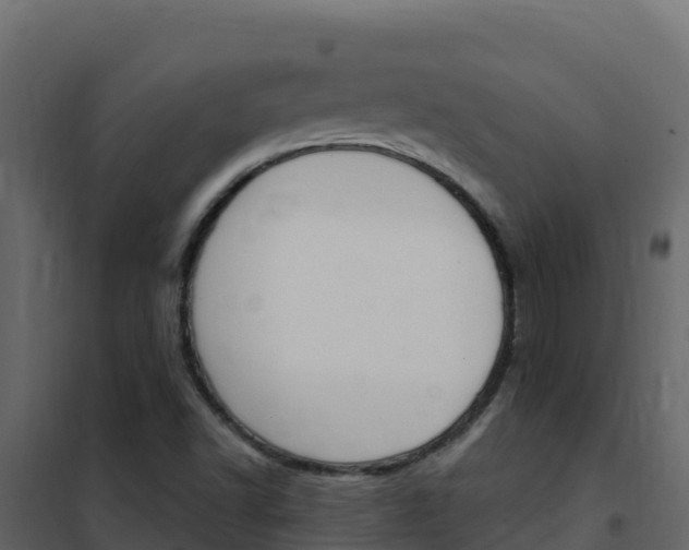 X0000102491502200808081044