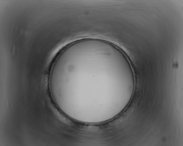 X0000102491503200808081044