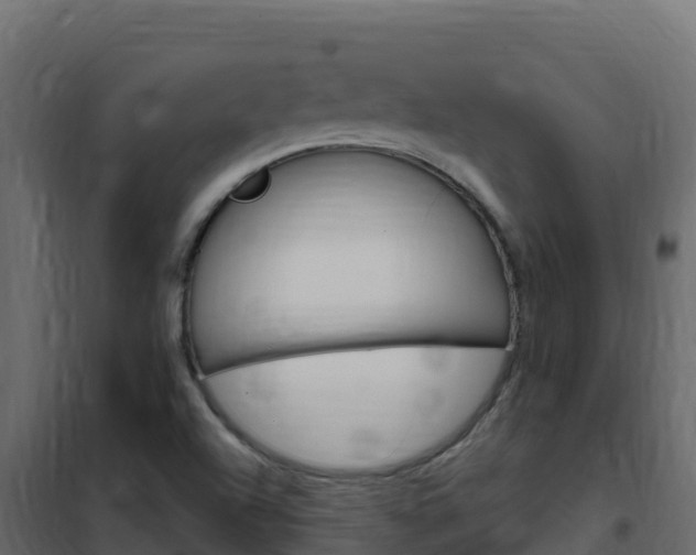 X0000102491504200808081044