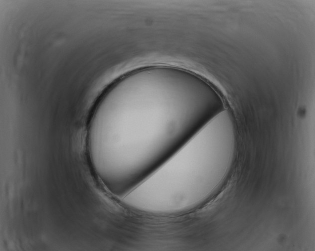 X0000102491507200808081044