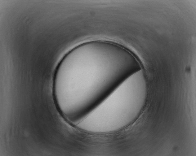 X0000102491508200808081044