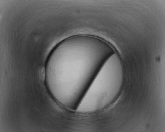 X0000102491509200808081044