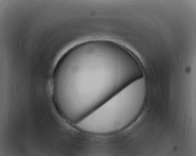 X0000102491510200808081044