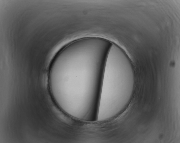 X0000102491511200808081044