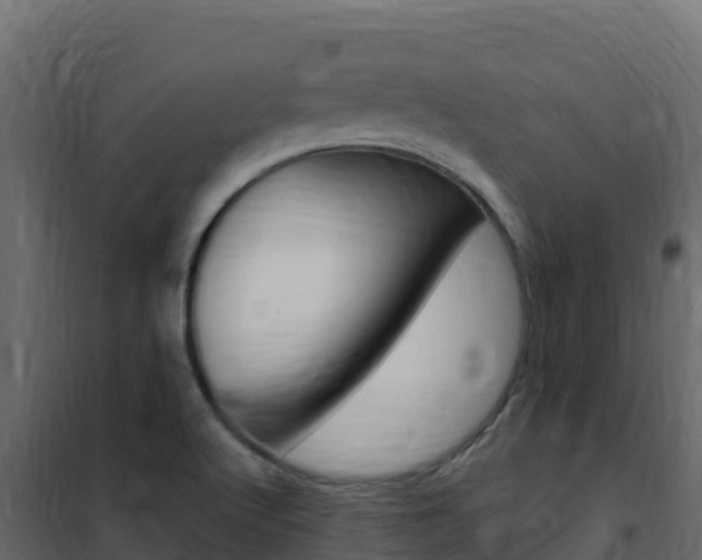 X0000102491512200808081044