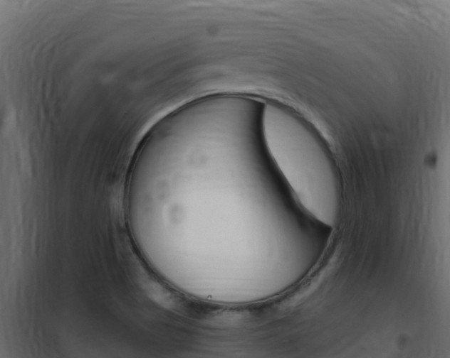 X0000102491513200808081044