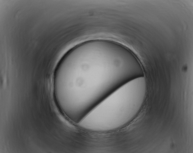 X0000102491515200808081044