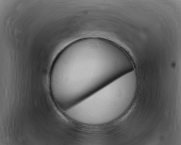 X0000102491517200808081044