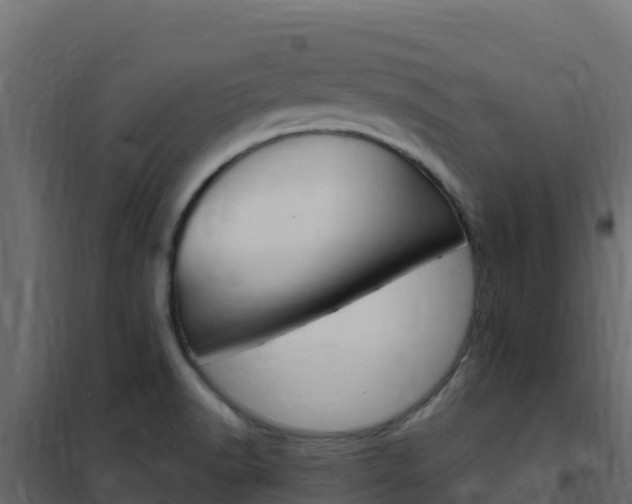 X0000102491518200808081044