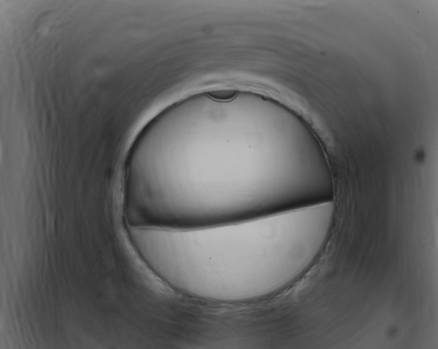 X0000102491522200808081044