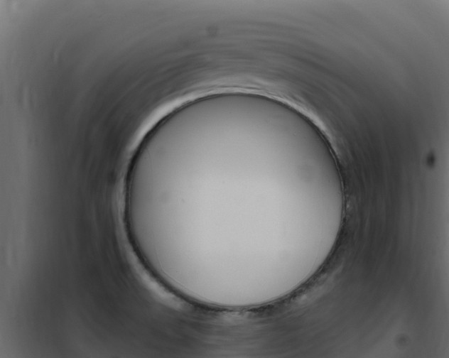 X0000102491523200808081044