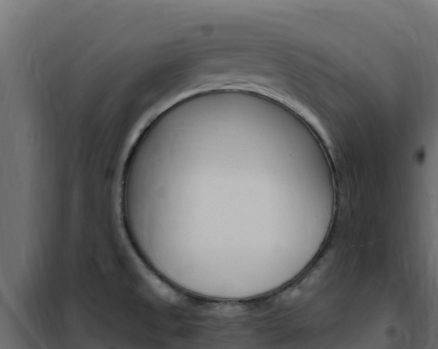 X0000102491525200808081044