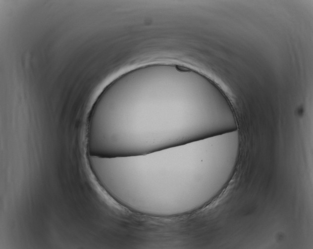 X0000102491526200808081044