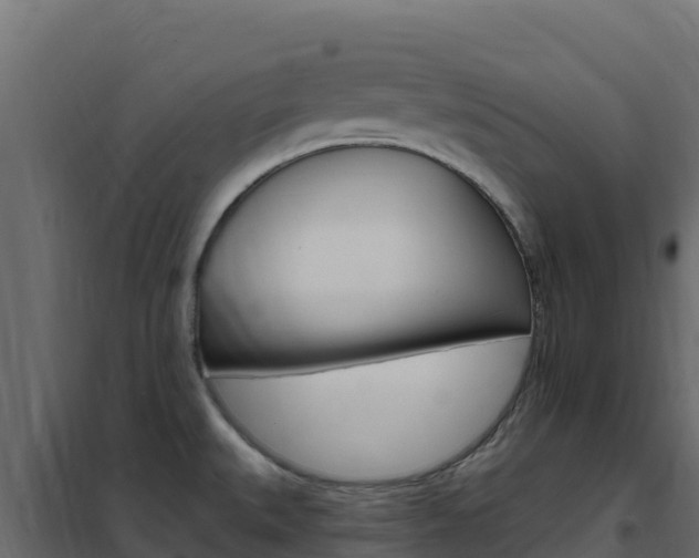 X0000102491527200808081044