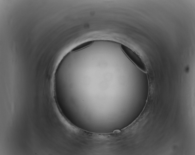 X0000102491528200808081044