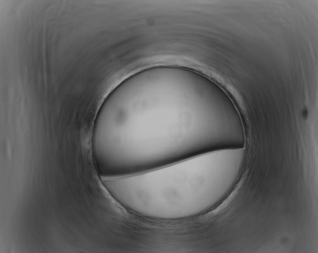 X0000102491529200808081044
