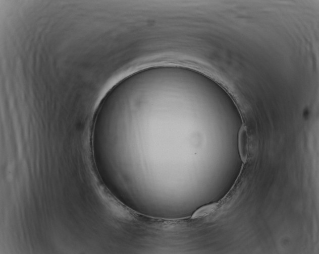 X0000102491530200808081044