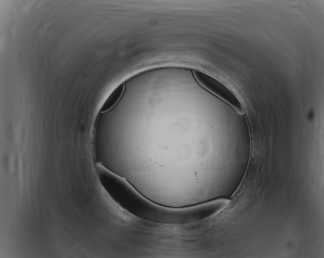 X0000102491532200808081044
