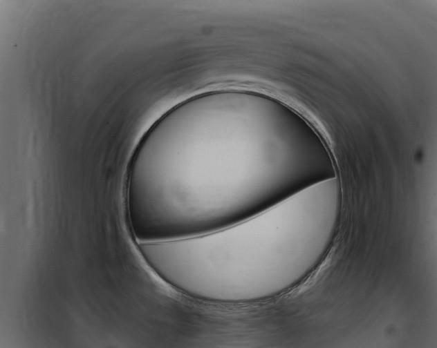 X0000102491533200808081044