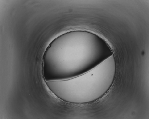X0000102491534200808081044