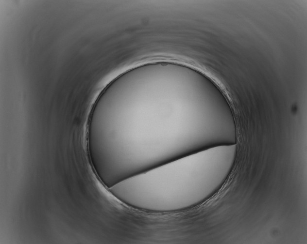 X0000102491535200808081044