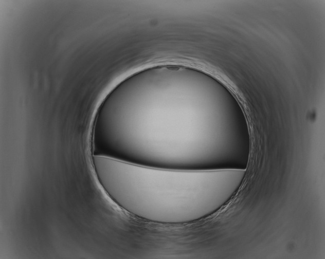X0000102491536200808081044