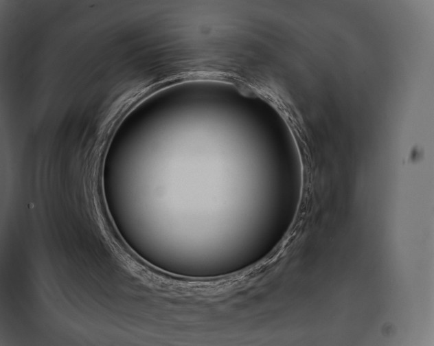 X0000102490001200808081340