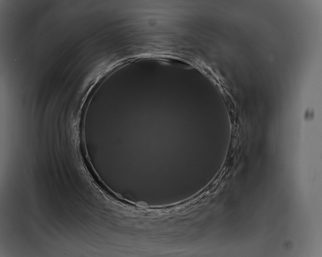 X0000102490002200808081340