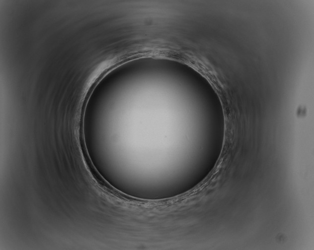X0000102490003200808081340