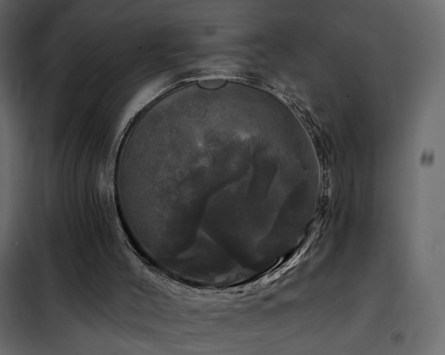 X0000102490004200808081340