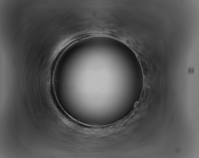 X0000102490005200808081339