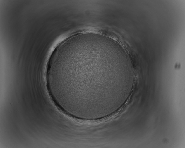 X0000102490006200808081339