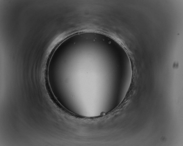 X0000102490007200808081339