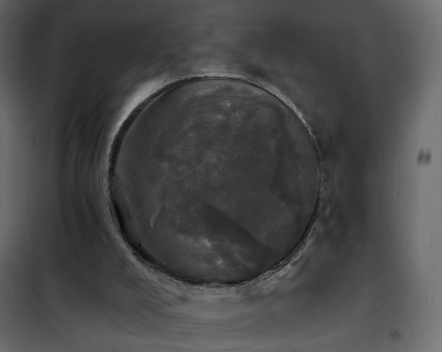 X0000102490008200808081339
