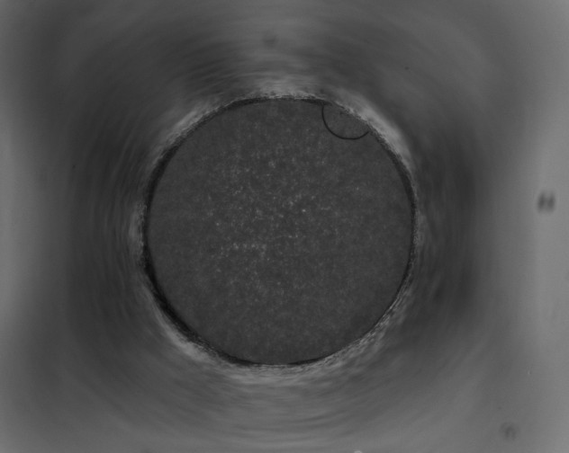 X0000102490009200808081339