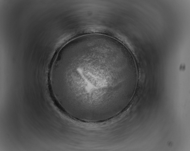 X0000102490010200808081339