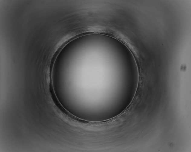 X0000102490011200808081339