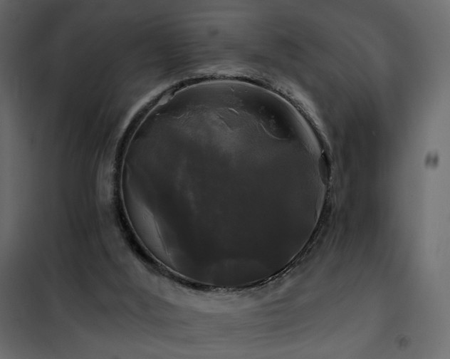 X0000102490012200808081339