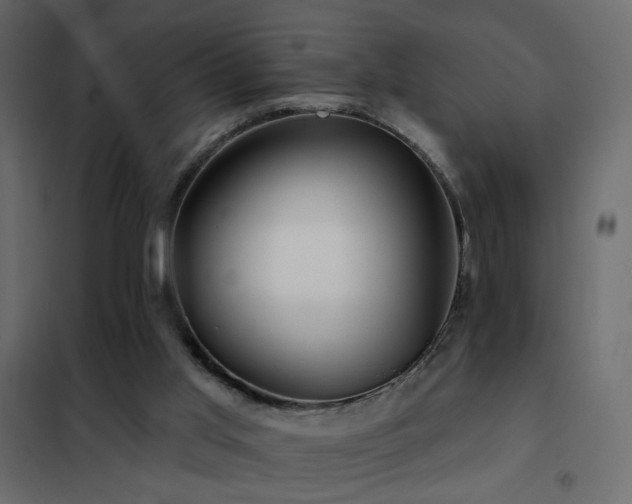 X0000102490013200808081339