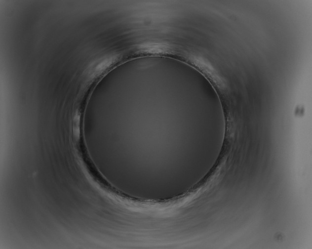 X0000102490014200808081339