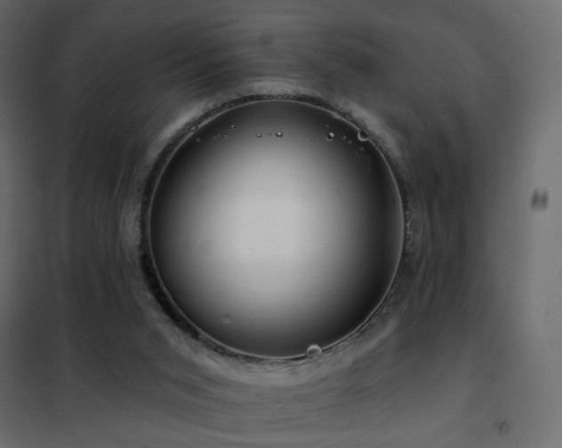 X0000102490015200808081339