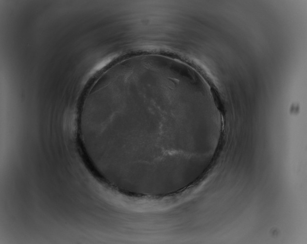 X0000102490016200808081339