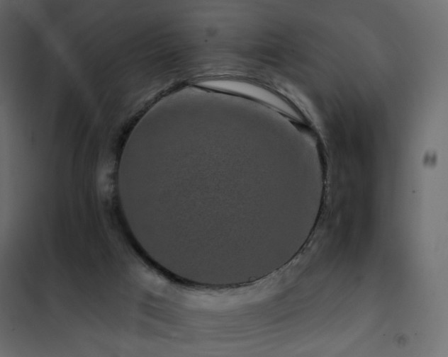 X0000102490017200808081339