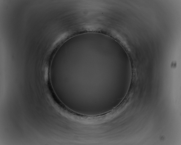 X0000102490019200808081339