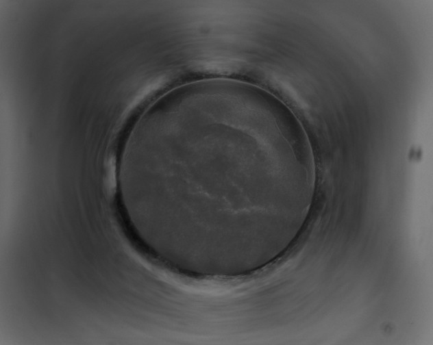 X0000102490020200808081339