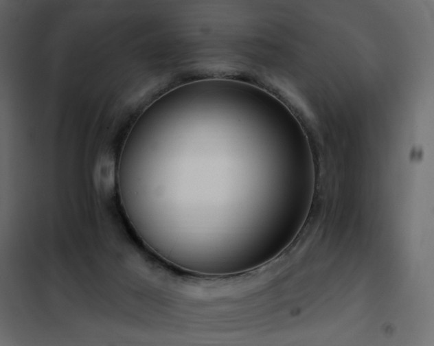 X0000102490021200808081339