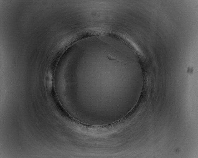 X0000102490022200808081339