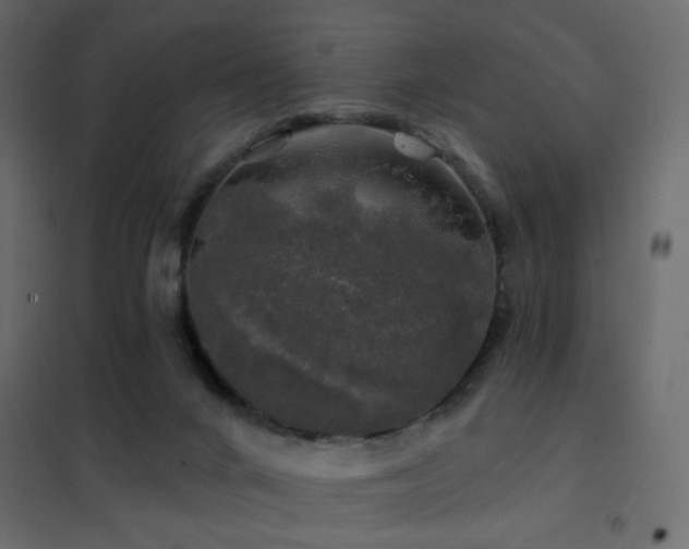 X0000102490024200808081339