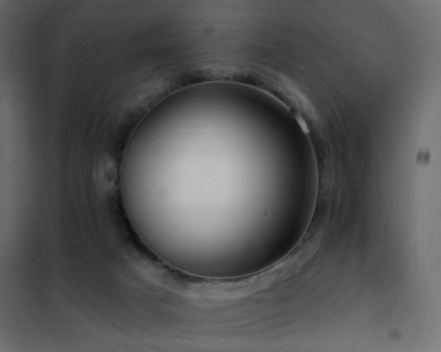 X0000102490025200808081339