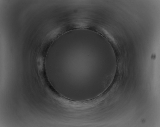 X0000102490026200808081339